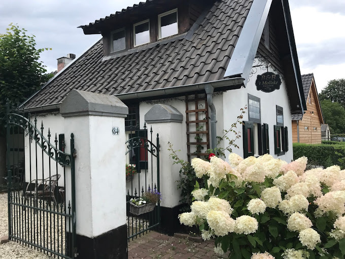 Close view of cottage on the display